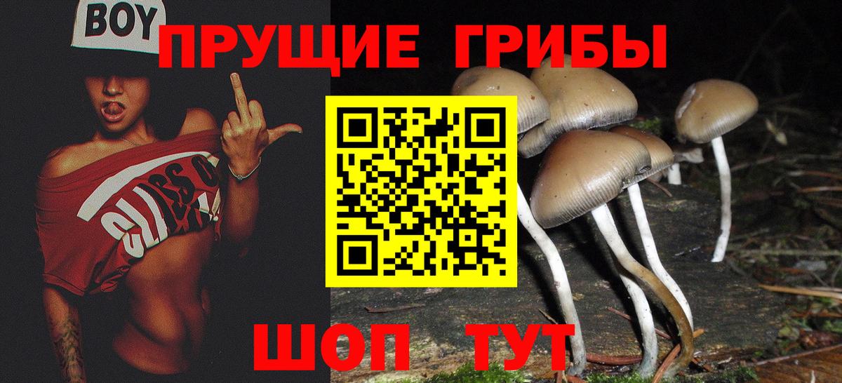 Галлюциногенные грибы ЛСД  цена   Томск  Вход с VPN 